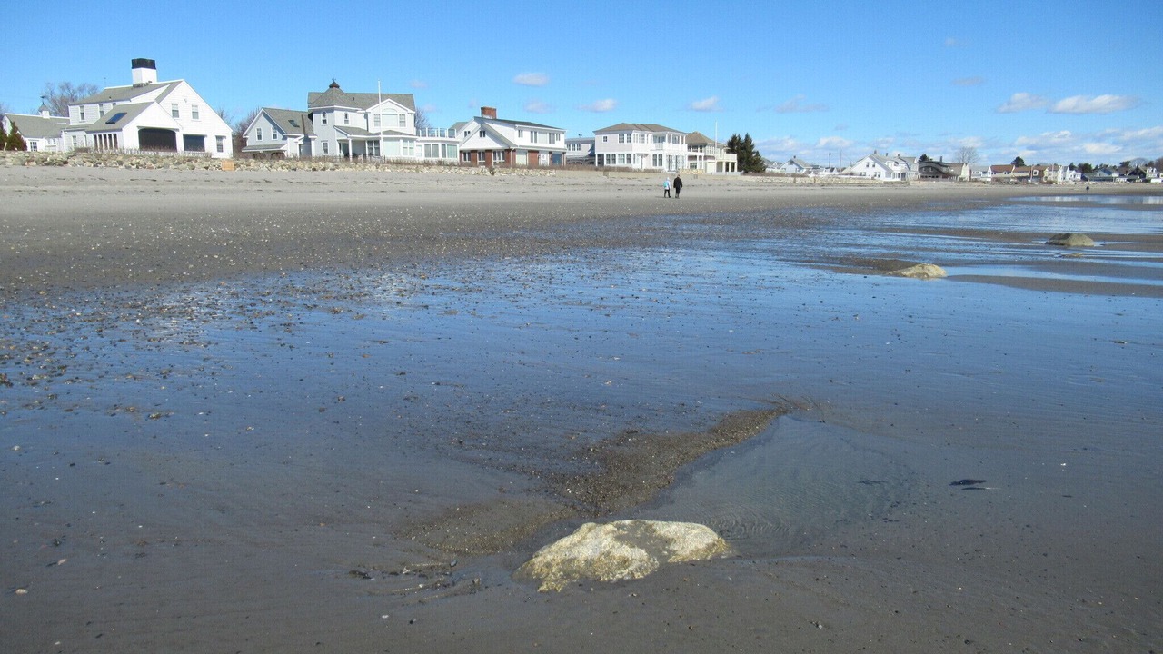 Photo of Others in Rye