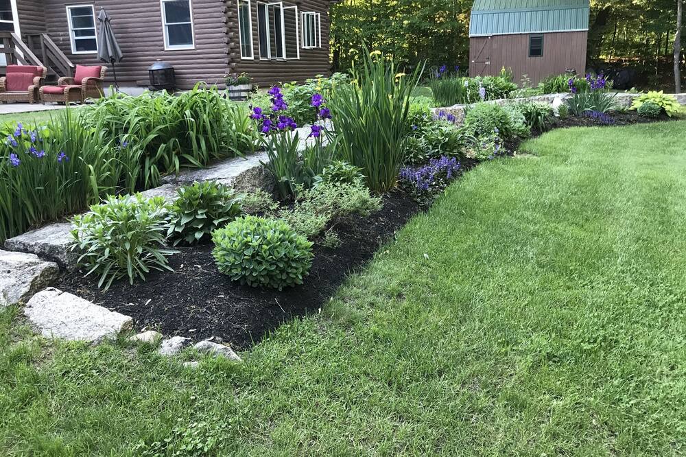 Photo of Outdoor in Bartlett
