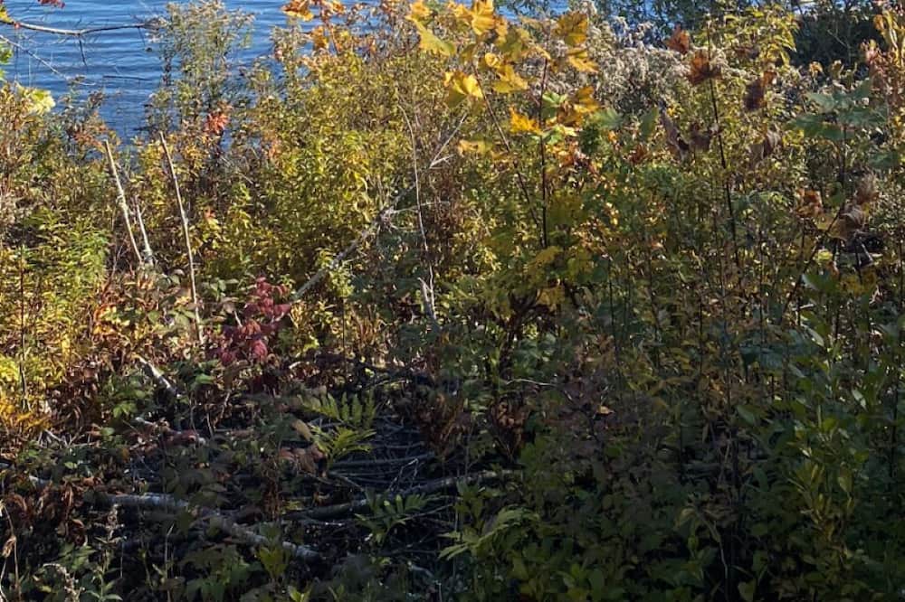 Photo of Others in Ellsworth