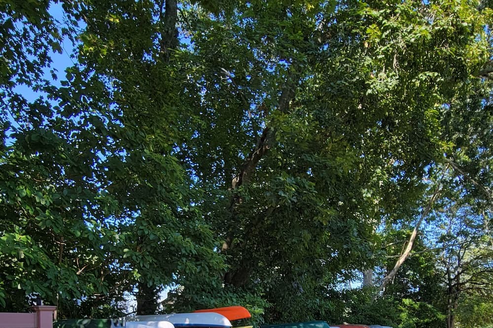 Photo of Outdoor in Colchester