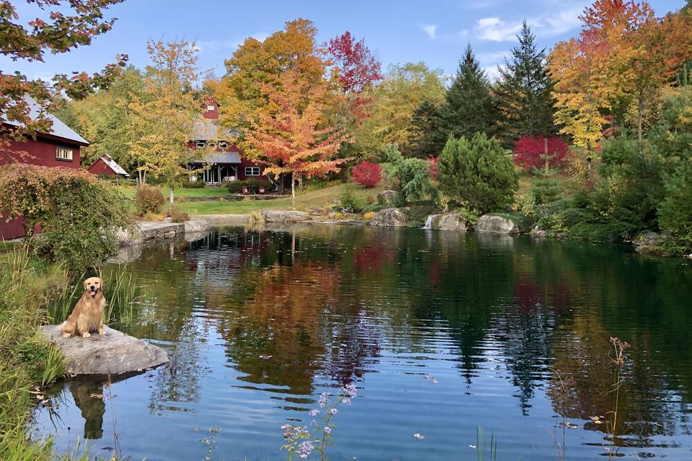Photo of Outdoor in Johnson