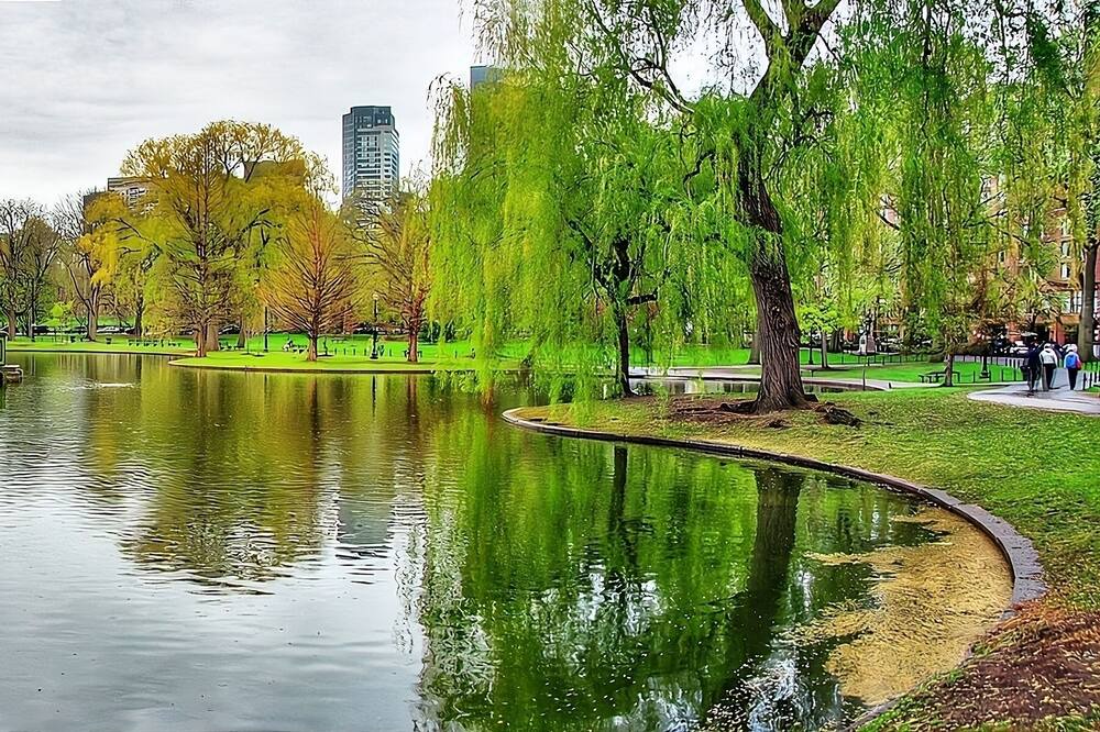 Photo of Outdoor in Downtown Boston