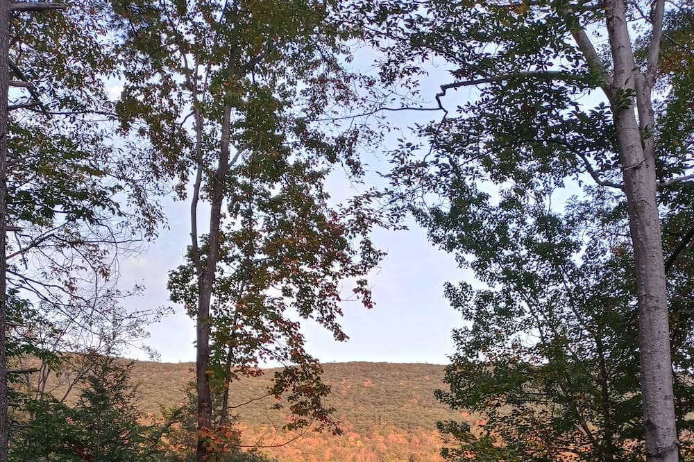 Photo of Others in Forest Dale