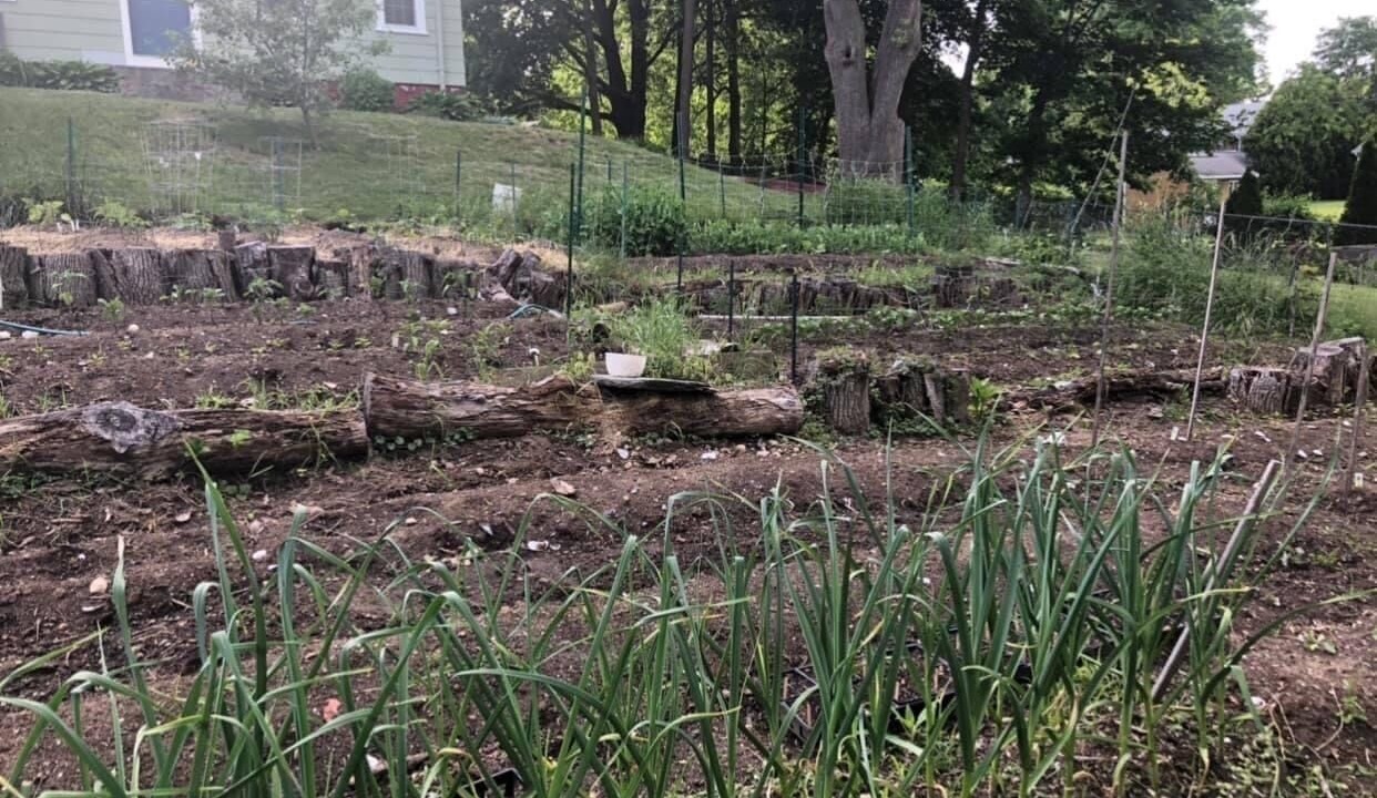 Photo of Outdoor in Wakefield-Peacedale
