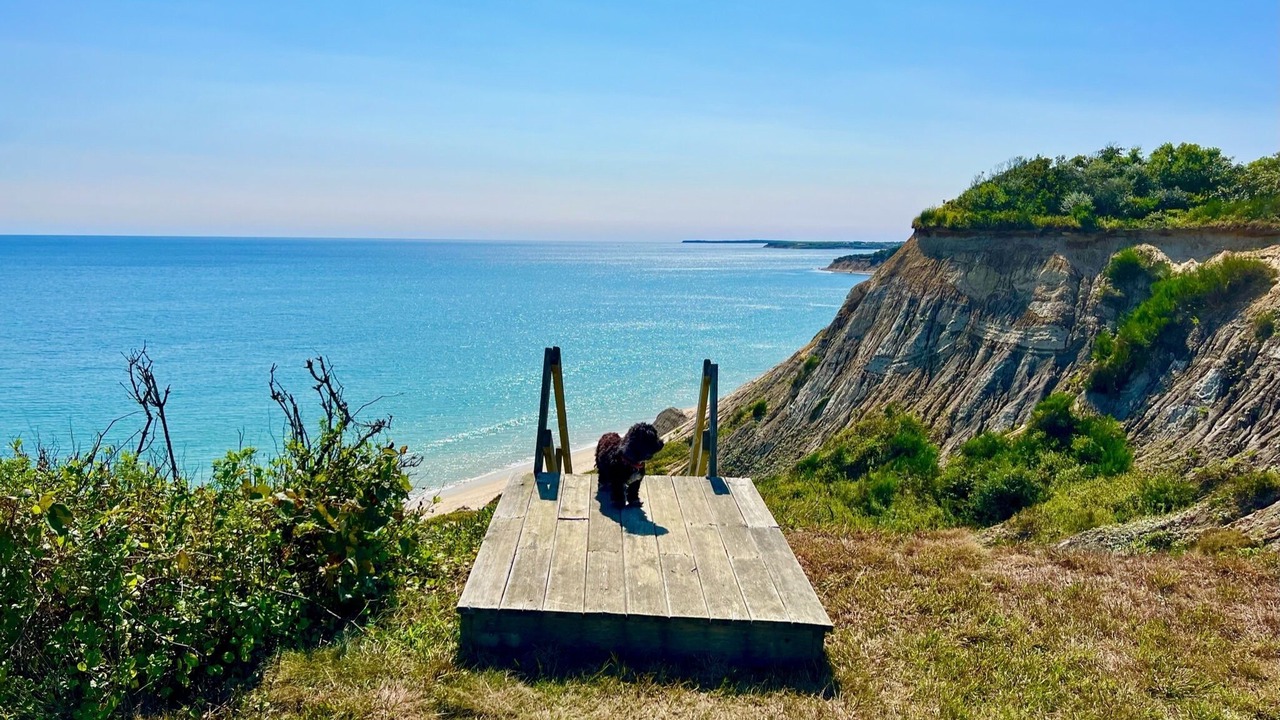 Photo of Outdoor in Chilmark