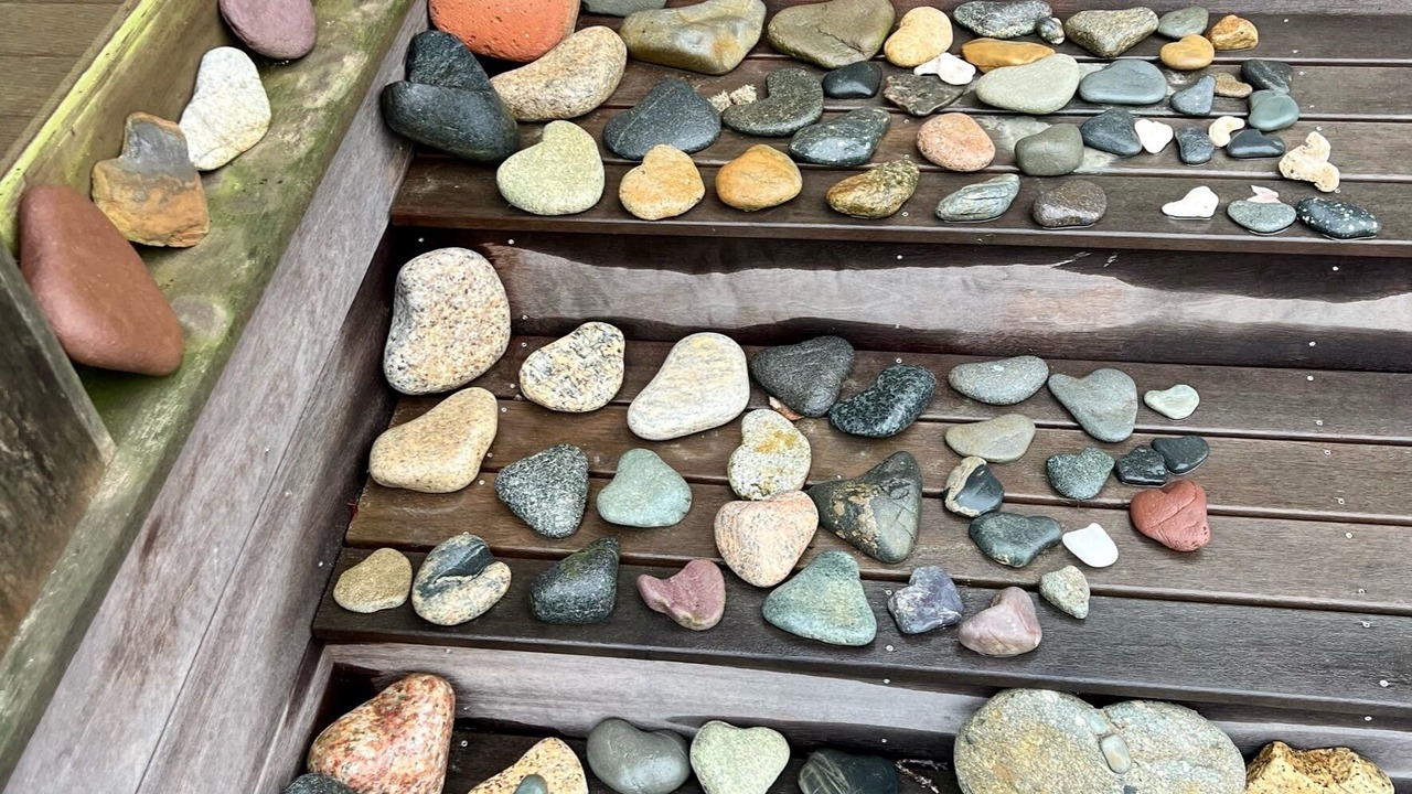 Photo of Others in Chilmark