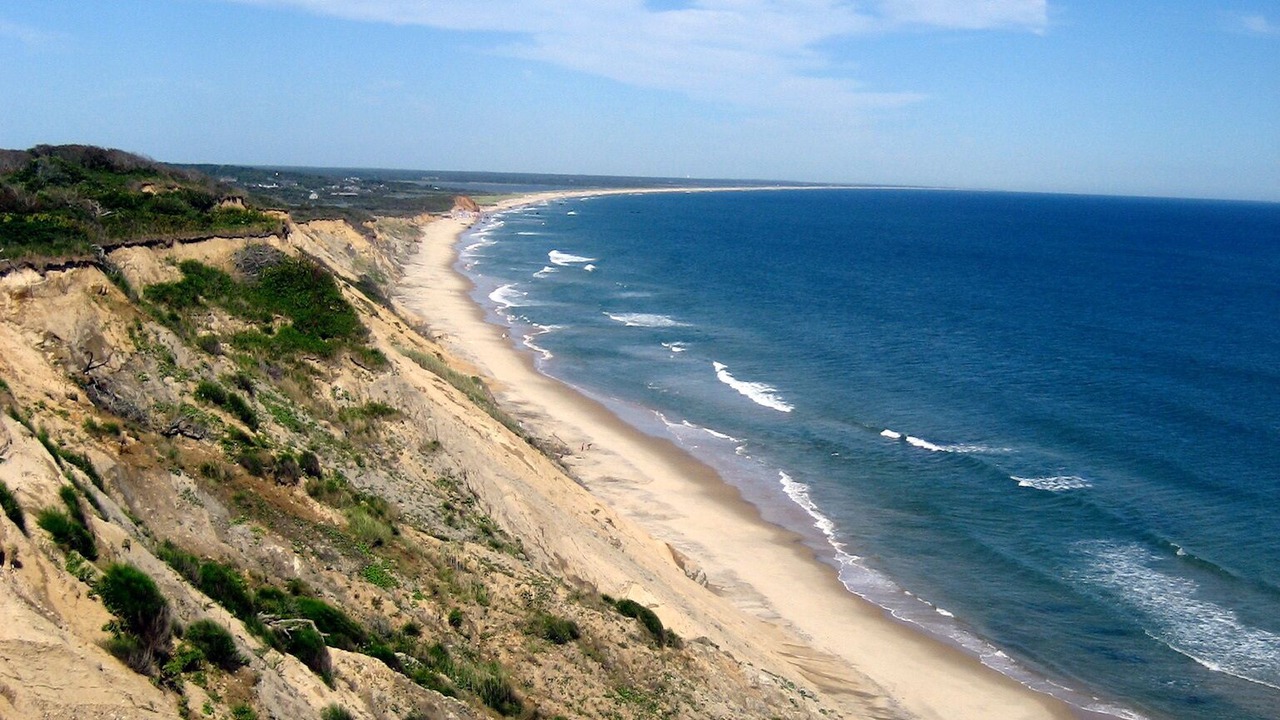 Photo of Others in Chilmark