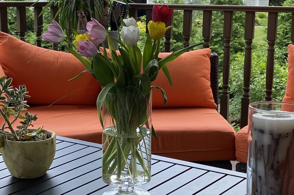 Photo of Patio Balcony in Belmar