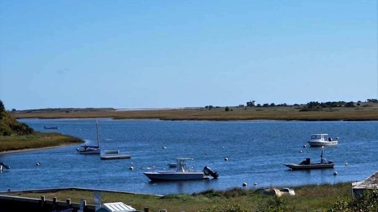 Photo of Others in West Chatham