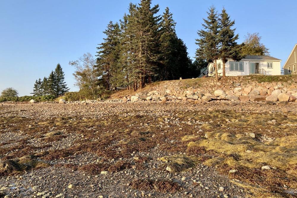 Photo of Outdoor in Bass Harbor