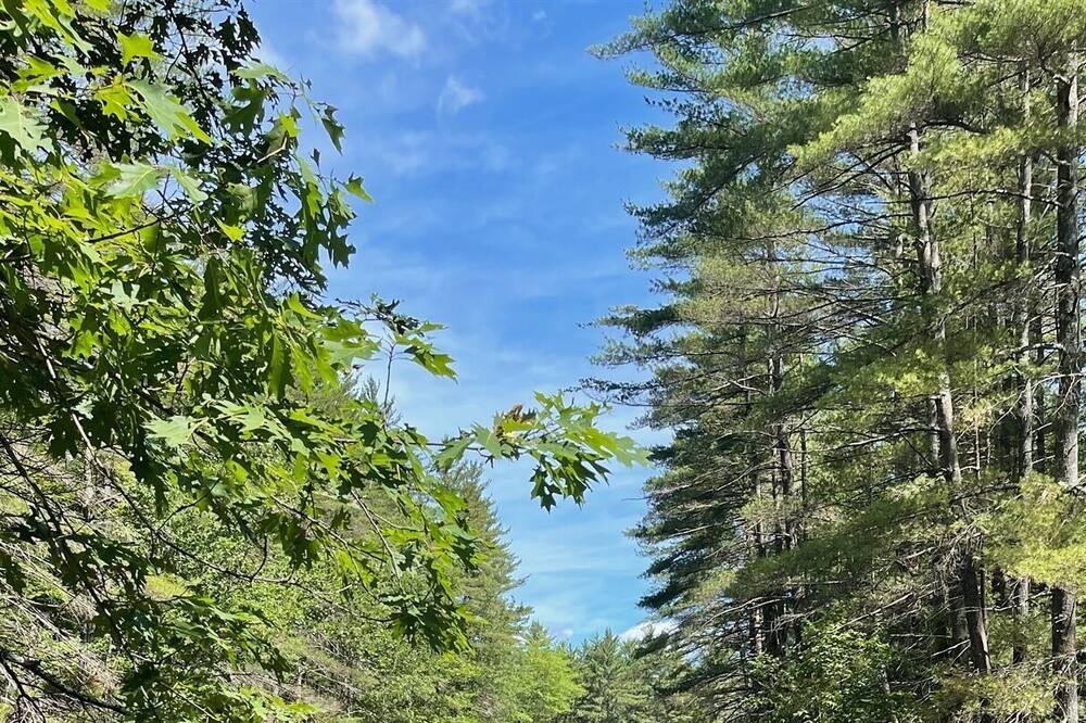 Photo of Outdoor in Chocorua Ski and Beach
