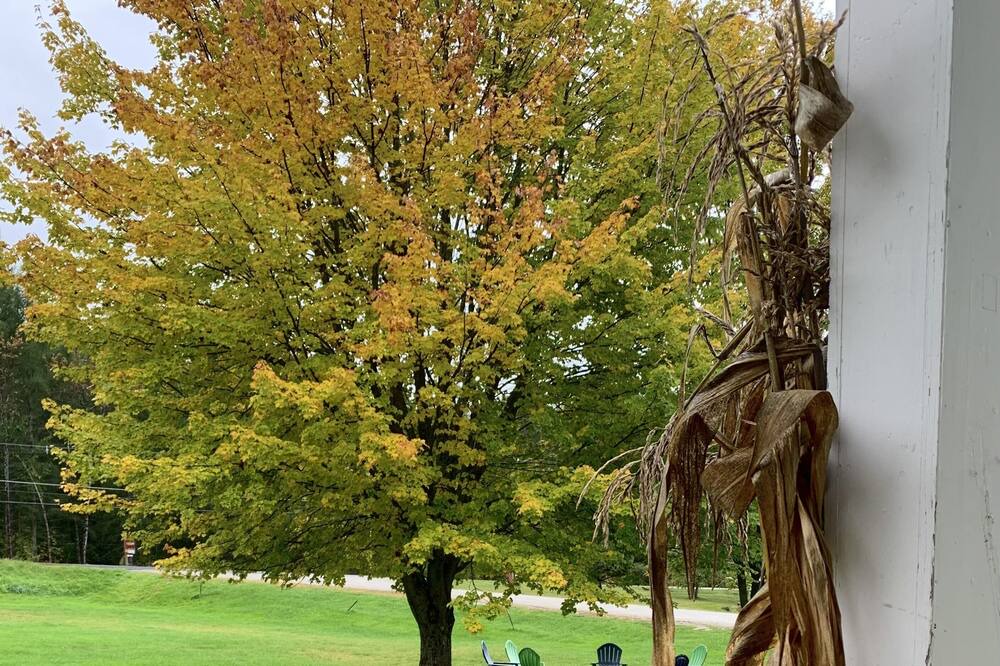 Photo of Outdoor in East Burke