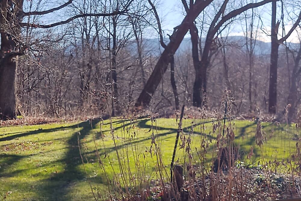Photo of Outdoor in Williamstown
