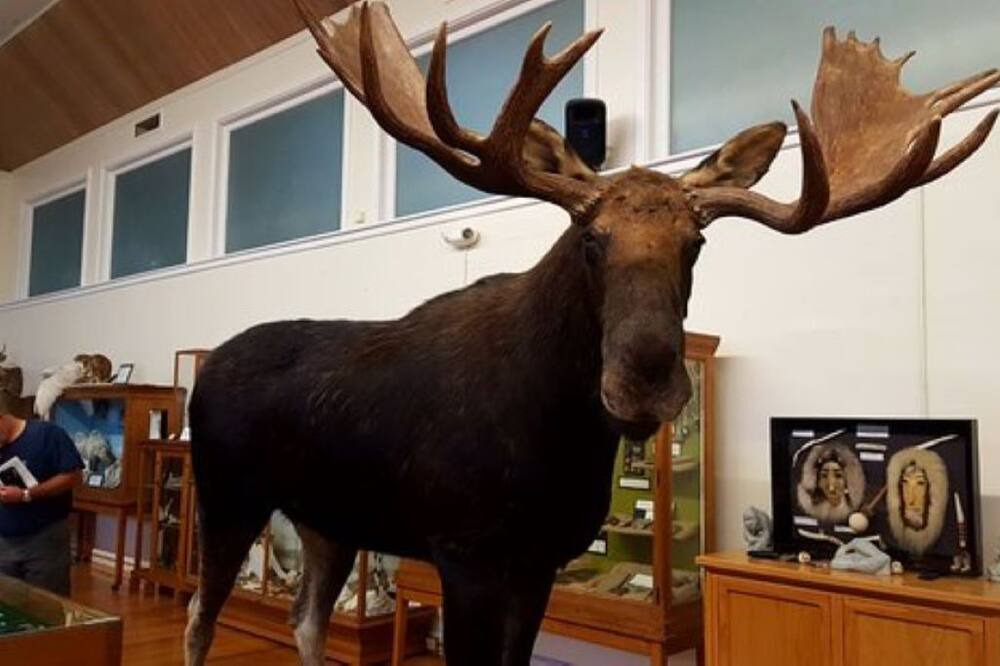 Photo of Others in Wolfeboro