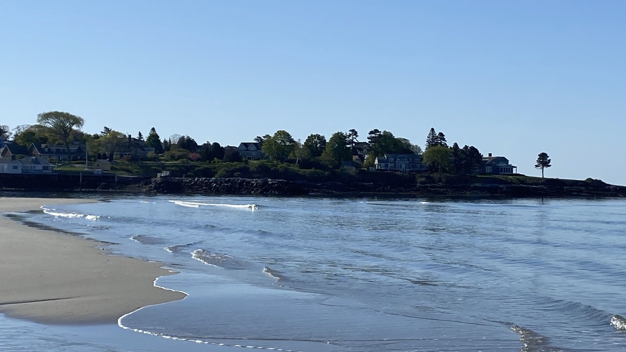 Photo of Others in Pine Point