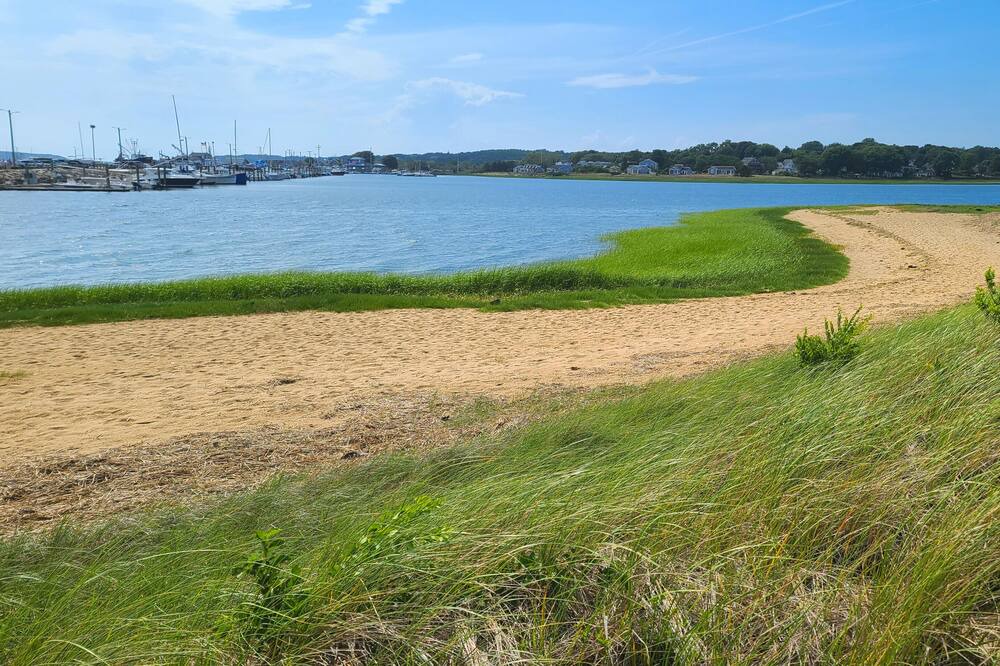 Photo of Others in Wellfleet