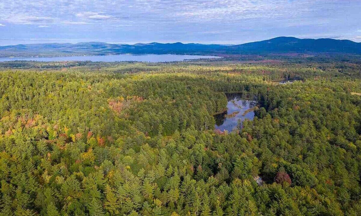 Photo of Others in Center Ossipee