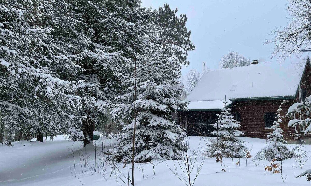 Photo of Outdoor in Center Ossipee