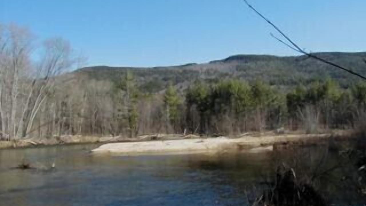 Photo of Others in Birchview by the Saco