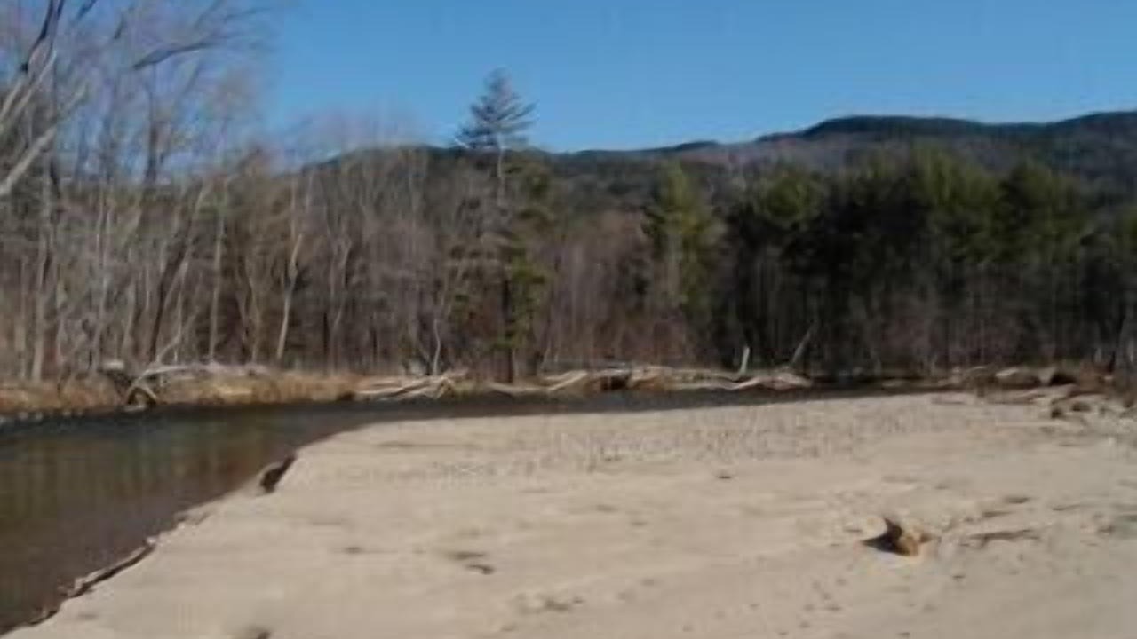 Photo of Others in Birchview by the Saco