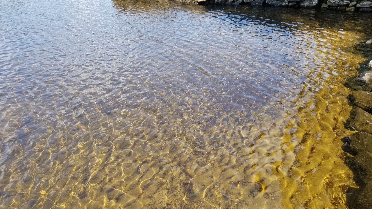 Photo of Others in Caroga Lake
