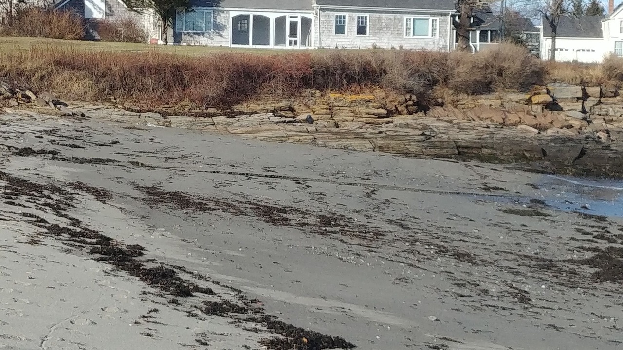 Photo of Others in Cape Elizabeth