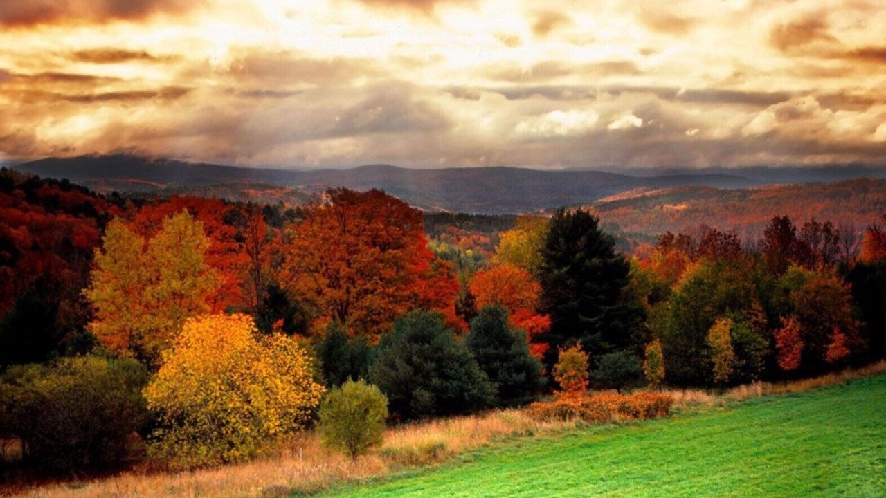 Photo of Outdoor in Sharon