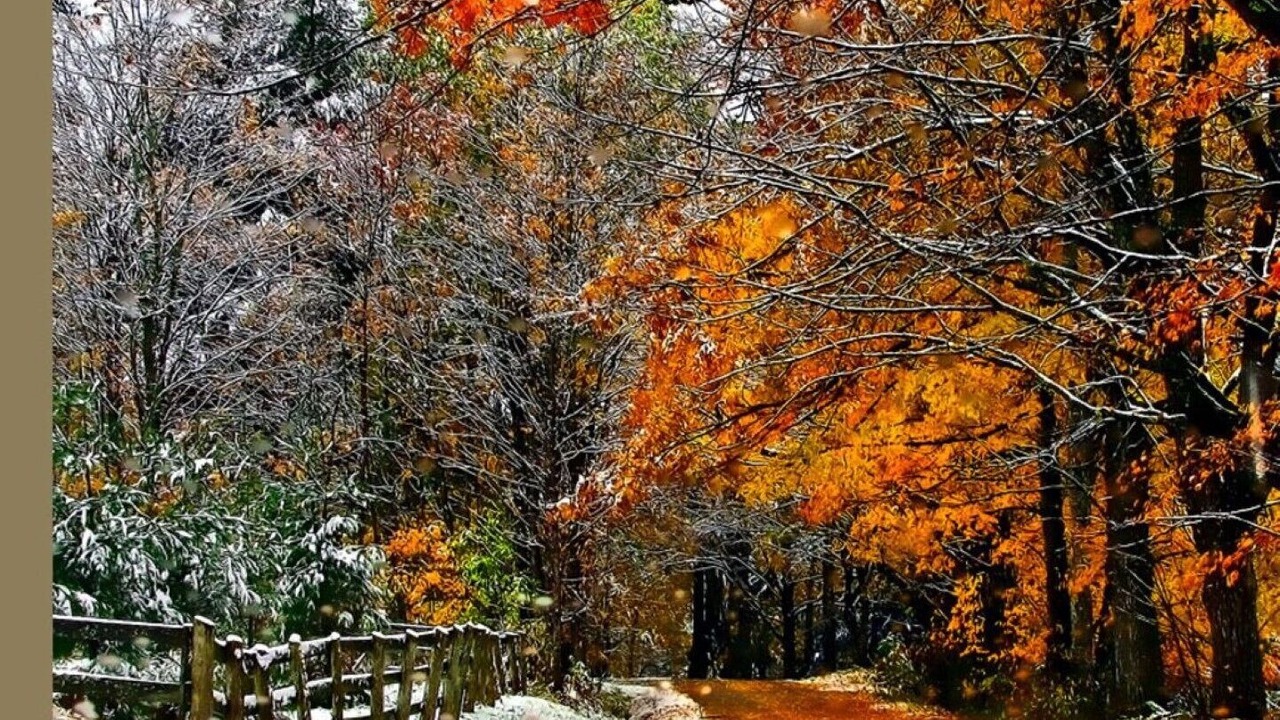 Photo of Outdoor in Sharon