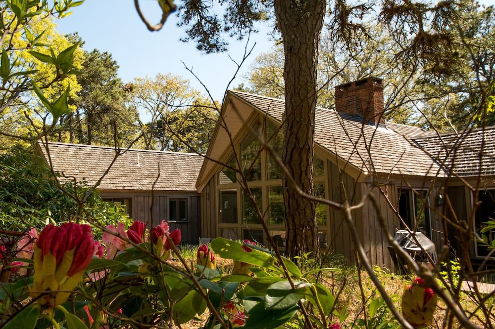 Photo of Outdoor in South Orleans