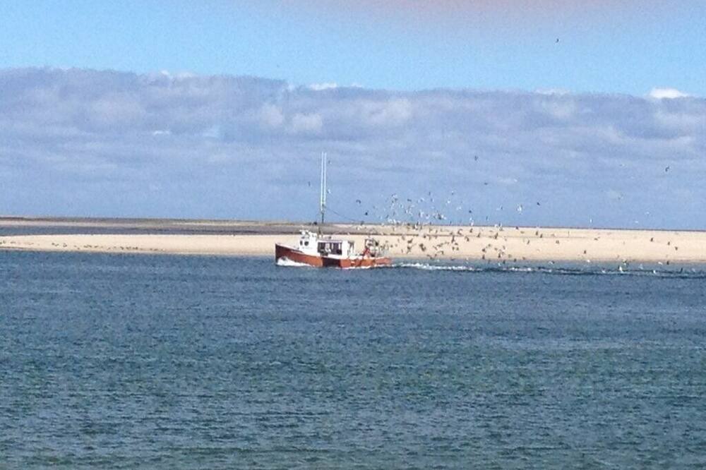 Photo of Others in West Yarmouth