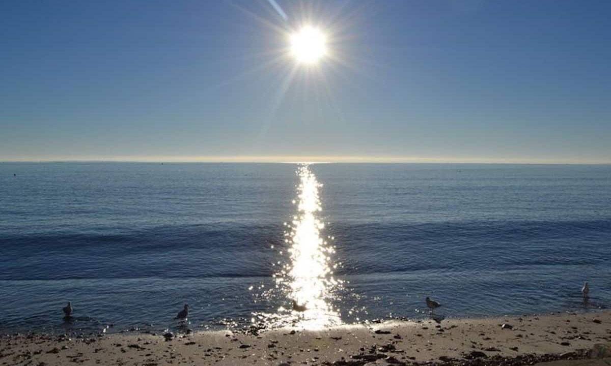Photo of Others in Niantic