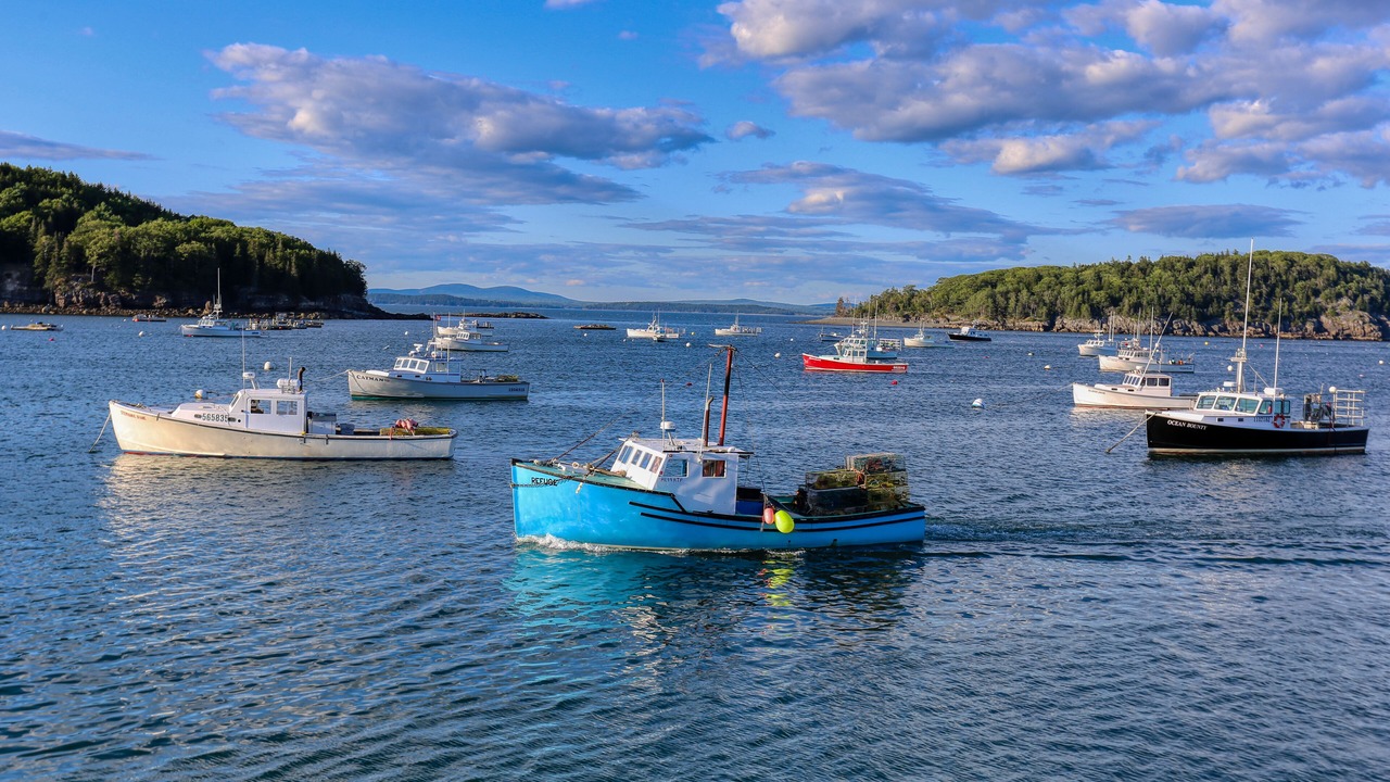 Photo of Others in Hulls Cove