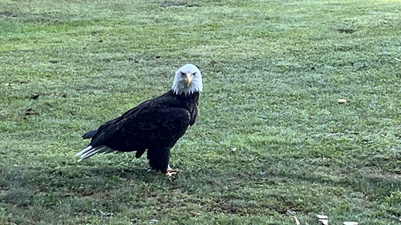 Photo of Outdoor in Gray