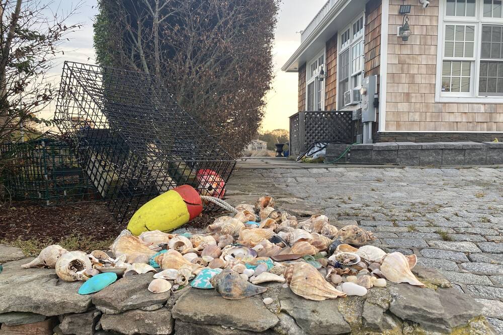 Photo of Others in Guilford