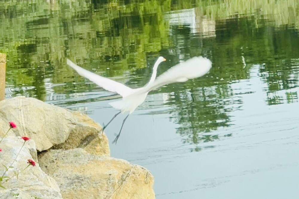 Photo of Others in Guilford