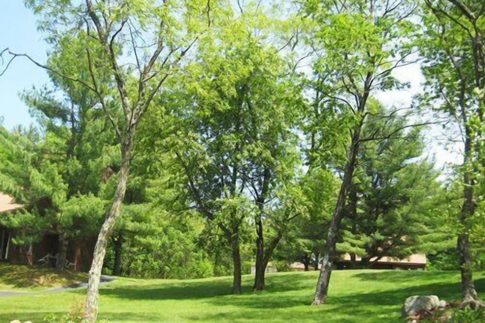Photo of Others in Jackson