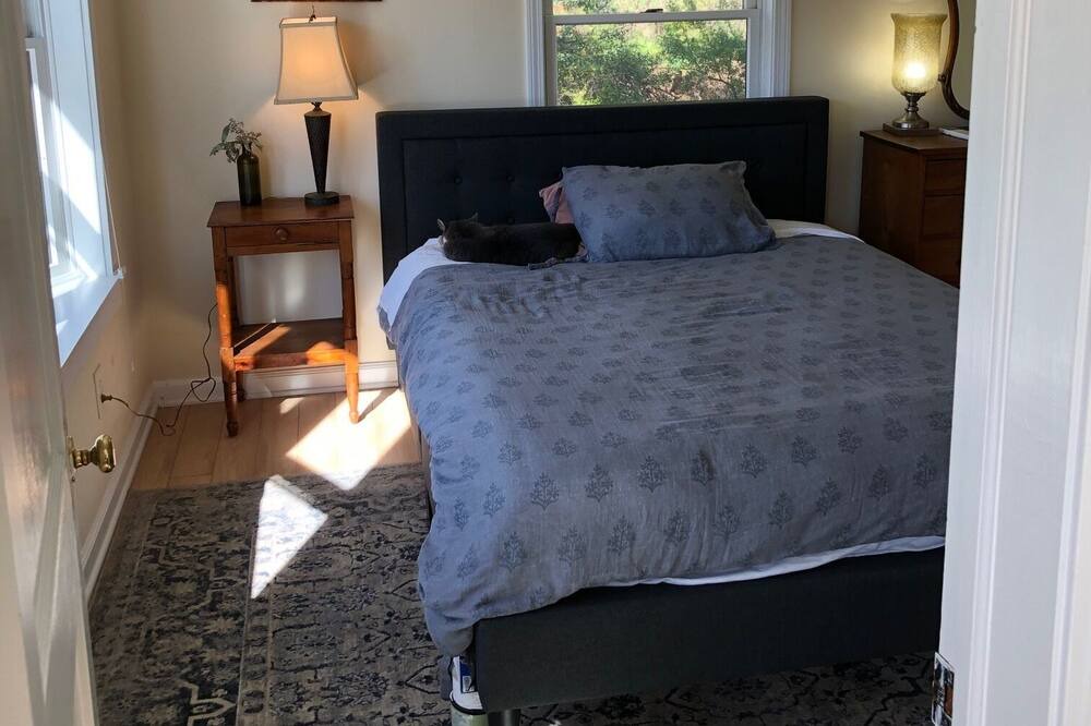 Photo of Bedroom in Dorset