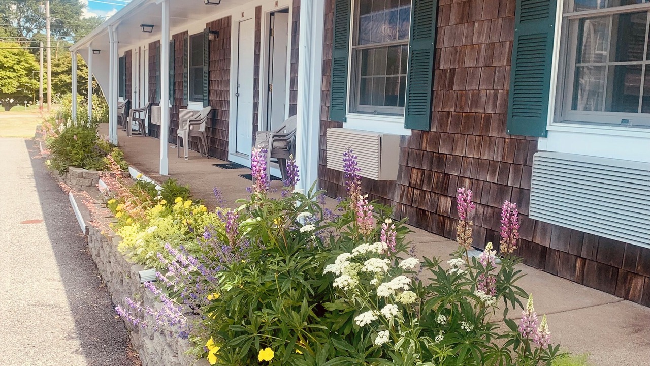 Photo of Outdoor in West Chatham