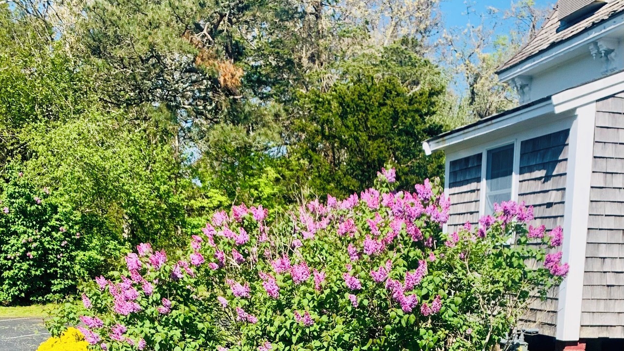Photo of Outdoor in West Chatham