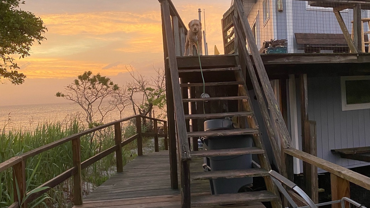 Photo of Outdoor in Bayberry Dunes