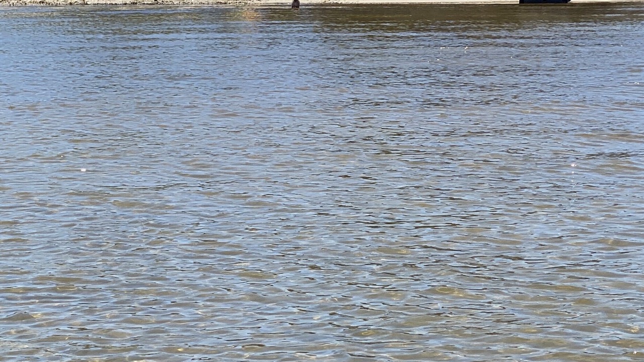 Photo of Others in Bayberry Dunes