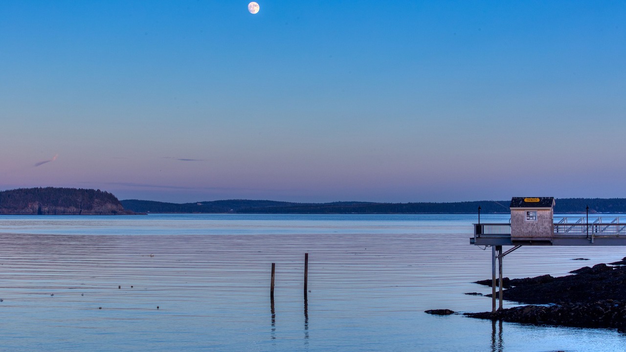 Photo of Others in Seal Harbor