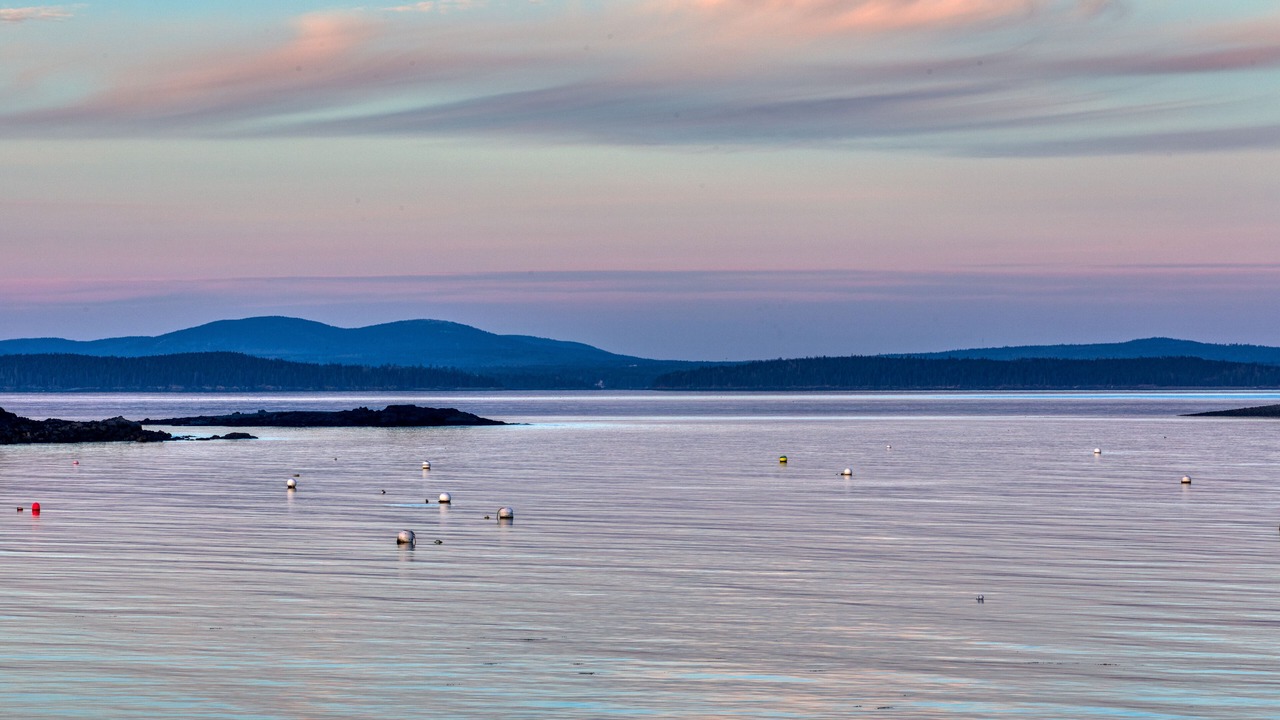 Photo of Outdoor in Seal Harbor
