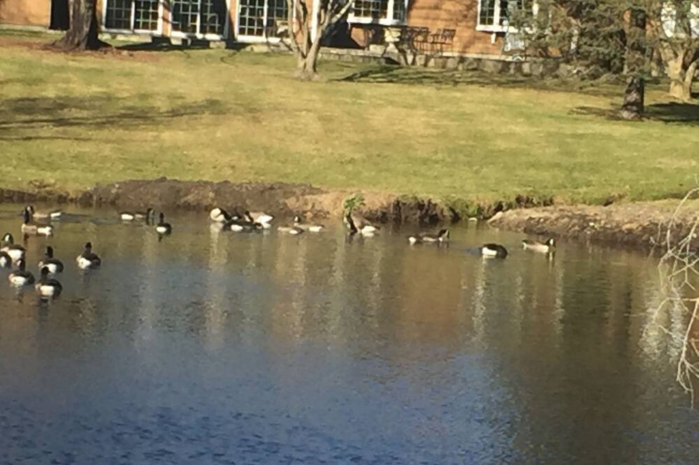Photo of Others in Southport