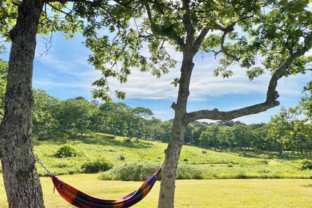 Photo of Outdoor in Edgartown