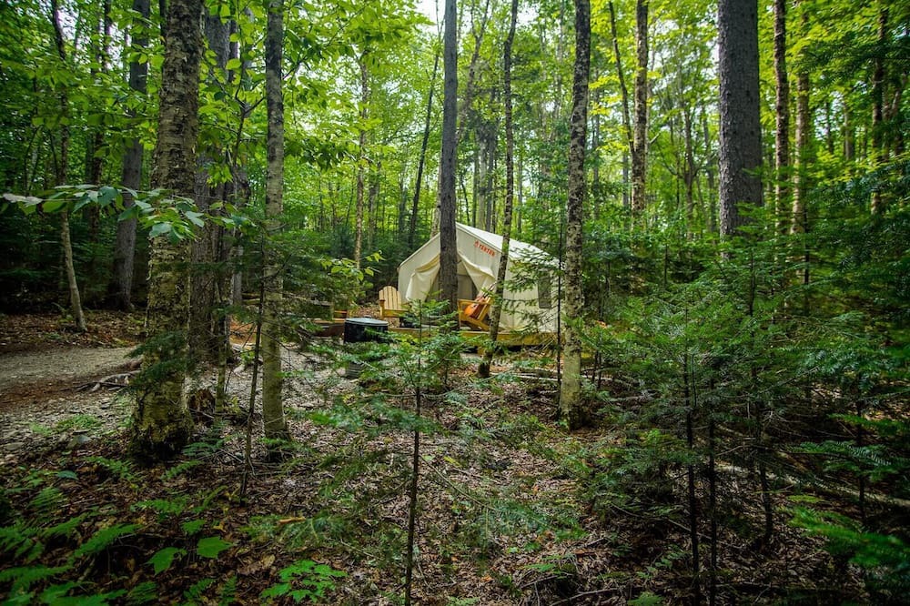 Photo of Others in Rangeley Plantation