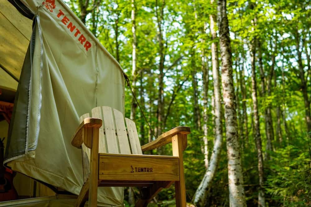Photo of Others in Rangeley Plantation