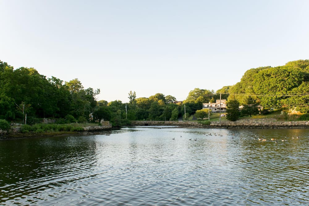 Photo of Others in Tiverton