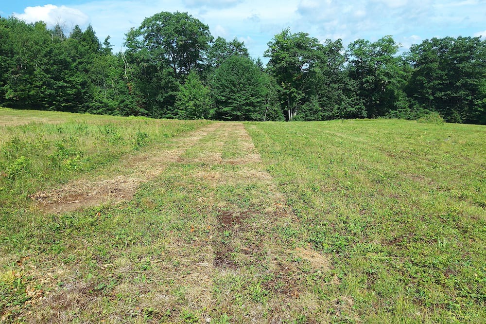 Photo of Outdoor in Pittsfield