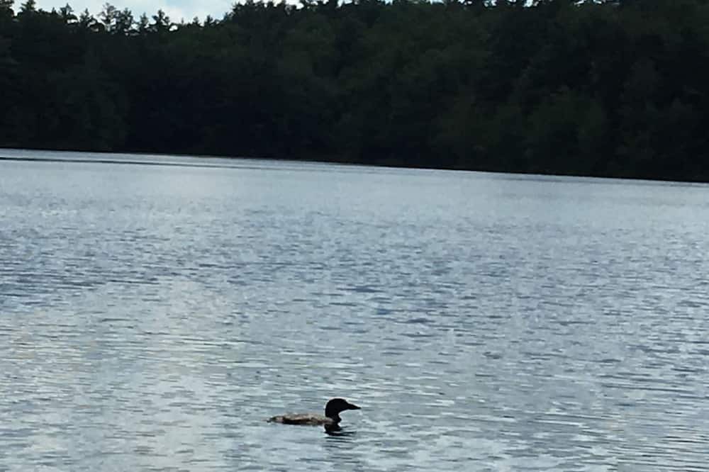 Photo of Outdoor in Stoddard
